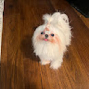 Meet your Posher, Le